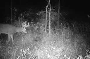 924 Eris Rd, Urbana, OH 43078 - Photo 97