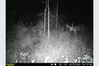 924 Eris Road, Urbana, OH 43078 - Photo 99