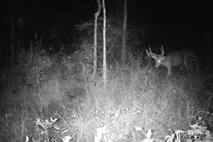 924 Eris Rd, Urbana, OH 43078 - Photo 99