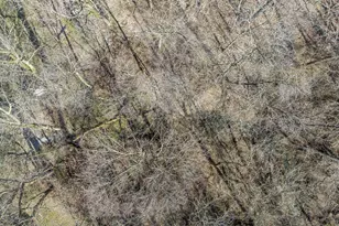 359 E Main St, Piqua, OH 45356 - Photo 35