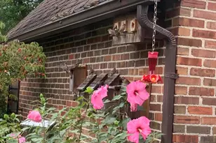 735 Tanglewood Dr, Springfield, OH 45504 - Photo 67