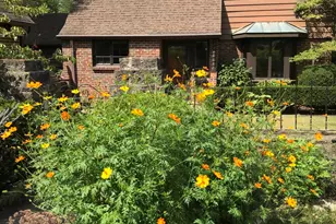 735 Tanglewood Dr, Springfield, OH 45504 - Photo 71