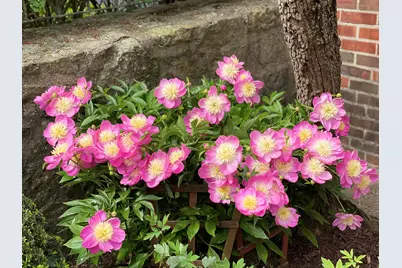 735 Tanglewood Drive, Springfield, OH 45504 - Photo 69