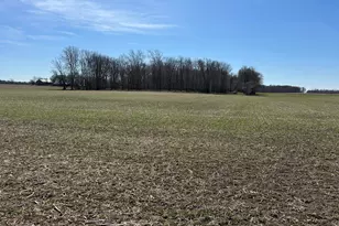 17785 Hengstler Rd, Wapakoneta, OH 45895 - Photo 17