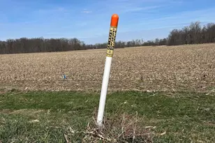 17785 Hengstler Rd, Wapakoneta, OH 45895 - Photo 15