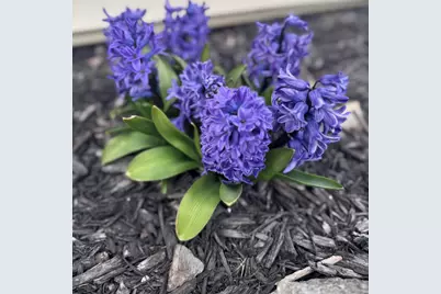 114 Marbello Court, Saint Marys, OH 45885 - Photo 71