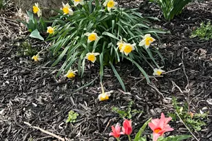 2636 Sandusky St, Zanesfield, OH 43360 - Photo 65