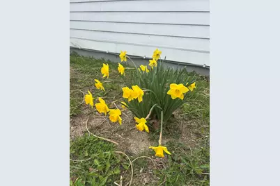 260 King Street, Yellow Springs, OH 45387 - Photo 55