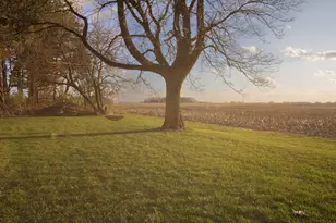 785 N State Route 589, Sidney, OH 45365 - Photo 63