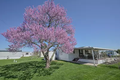 12218 Sandi Lane, Medway, OH 45341 - Photo 43