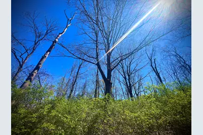 121 State, New Paris, OH 45347 - Photo 25