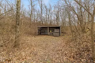 7969 Township Rd 166, West Liberty, OH 43357 - Photo 81