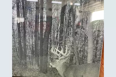 0 Twp Rd 55, Bellefontaine, OH 43311 - Photo 17