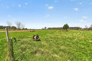 20240 Co Rd 340, Mount Victory, OH 43340 - Photo 35