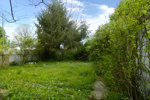 2037 Studer Ave, Columbus, OH 43207 - Photo 5