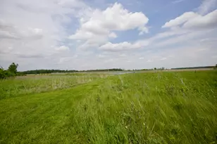 6275 Shindeldecker Rd, Rockford, OH 45882 - Photo 21