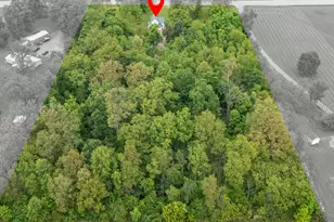 4415 State Route 235, Quincy, OH 43343 - Photo 41