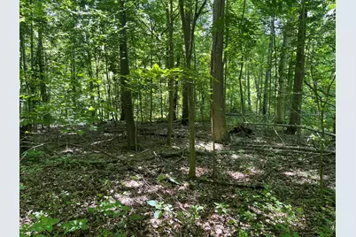 0 Boundary Road, Richwood, OH 43344 - Photo 17