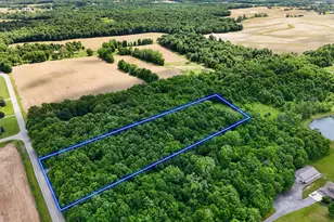 2615 County Road 25N, Bellefontaine, OH 43311 - Photo 57