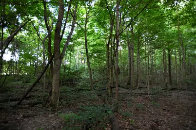 0 County Road 10, Bellefontaine, OH 43311 - Photo 29