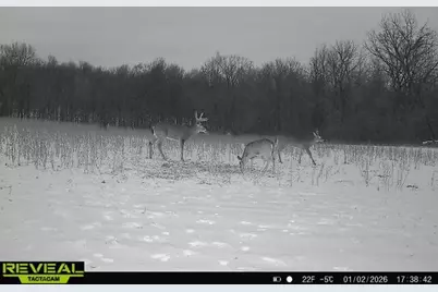 0 County Road 10, Bellefontaine, OH 43311 - Photo 65