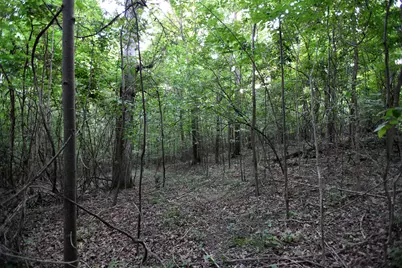 0 County Road 10, Bellefontaine, OH 43311 - Photo 27