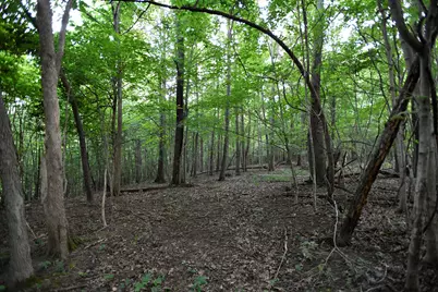 0 County Road 10, Bellefontaine, OH 43311 - Photo 25