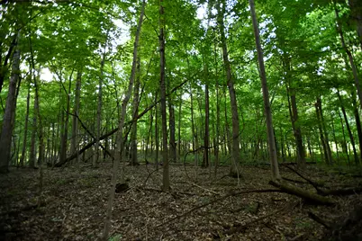0 County Road 10, Bellefontaine, OH 43311 - Photo 39