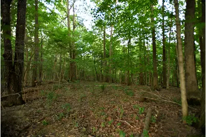 0 County Road 10, Bellefontaine, OH 43311 - Photo 49