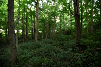0 County Road 10, Bellefontaine, OH 43311 - Photo 51