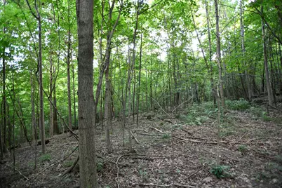 0 County Road 10, Bellefontaine, OH 43311 - Photo 33