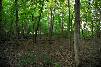 0 County Road 10, Bellefontaine, OH 43311 - Photo 35