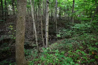 0 County Road 10, Bellefontaine, OH 43311 - Photo 17