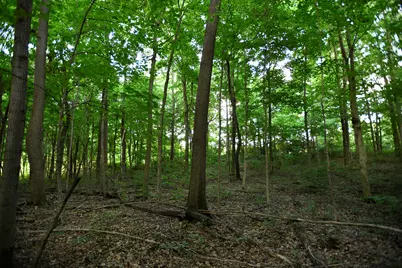 0 County Road 10, Bellefontaine, OH 43311 - Photo 37