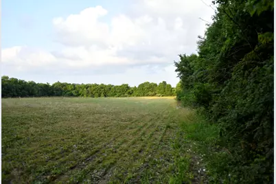 0 County Road 10, Bellefontaine, OH 43311 - Photo 47