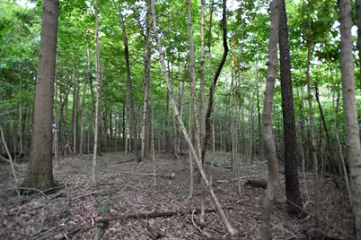 0 County Road 10, Bellefontaine, OH 43311 - Photo 31