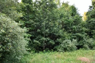 0 County Road 10, Bellefontaine, OH 43311 - Photo 45