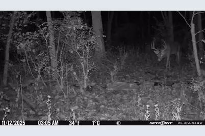 0 Stephen Young, Camden, OH 45311 - Photo 61