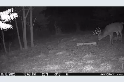 0 Stephen Young, Camden, OH 45311 - Photo 63
