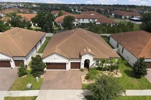 16909 Clear Cork Dr, Wimauma, FL 33598 - Photo 57