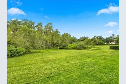 17314 San Aringo Pl, Lutz, FL 33548 - Photo 13