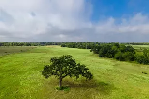 0 Vaughn Ln, Hearne, TX 77859 - Photo 9