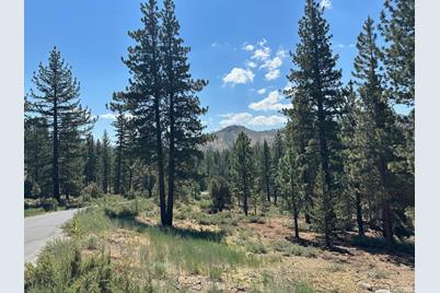 2 Raymond View Road, Markleeville, CA 96120 - Photo 1