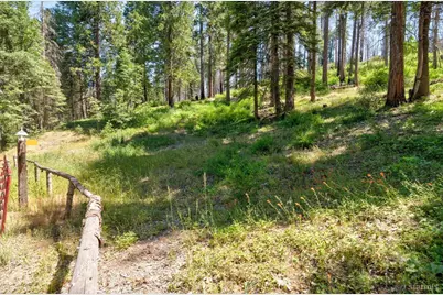 47824 Brammer Purl Road, Oakhurst, CA 93644 - Photo 33