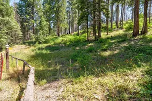 47824 Brammer-Purl Rd, Oakhurst, CA 93644 - Photo 33