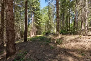 47824 Brammer-Purl Rd, Oakhurst, CA 93644 - Photo 37