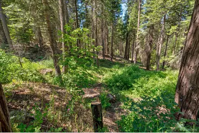 47824 Brammer Purl Road, Oakhurst, CA 93644 - Photo 35