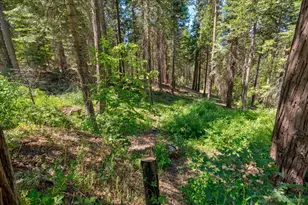 47824 Brammer-Purl Rd, Oakhurst, CA 93644 - Photo 35