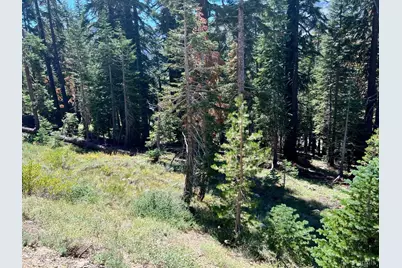 529 E Meadows Drive, Kirkwood, CA 95646 - Photo 25