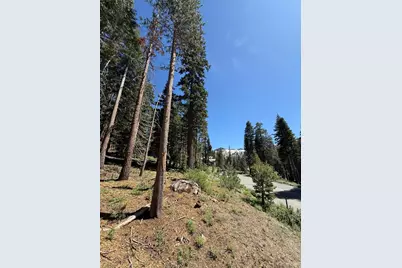 529 E Meadows Drive, Kirkwood, CA 95646 - Photo 1